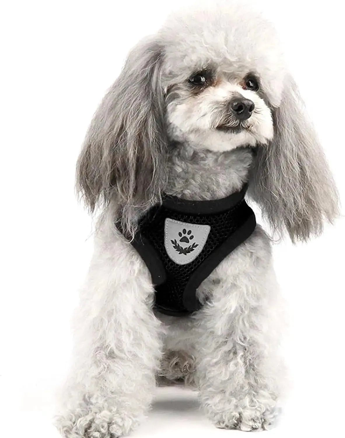 Cat Walking Harness Vest | Shopulia