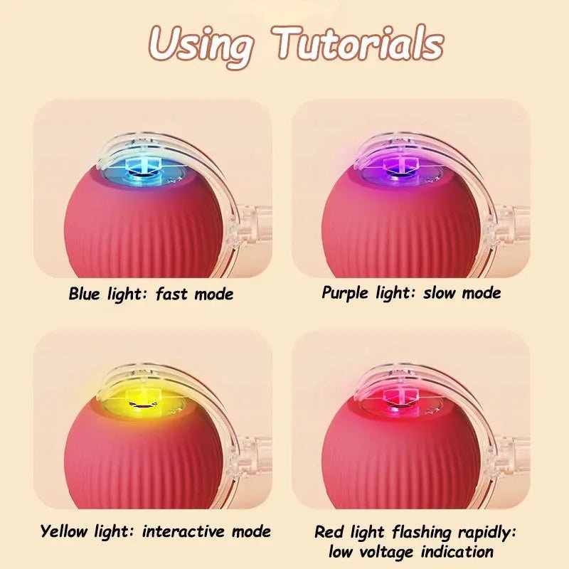 2Pcs Cat Interactive Ball Toys Shopulia