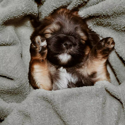 Bundle Concept: The Rinse & Dry Duo - Shopulia