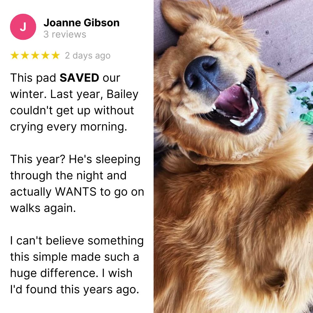 Warming Pet Mat VetPup