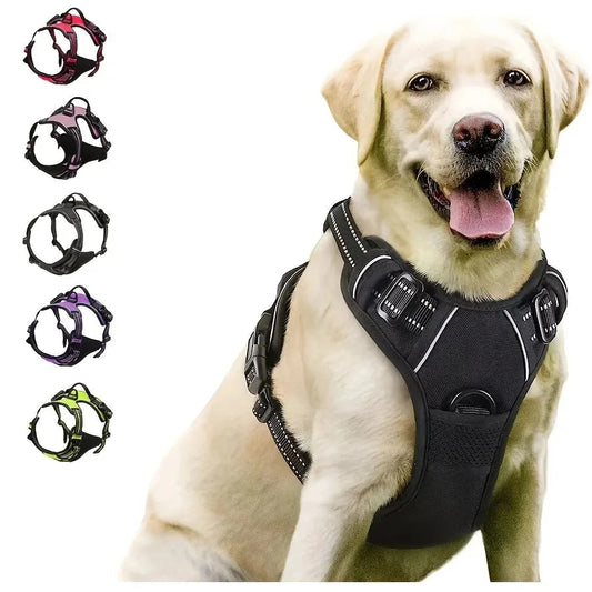 PawGear™ Dog Collar & Harness Set Shopulia