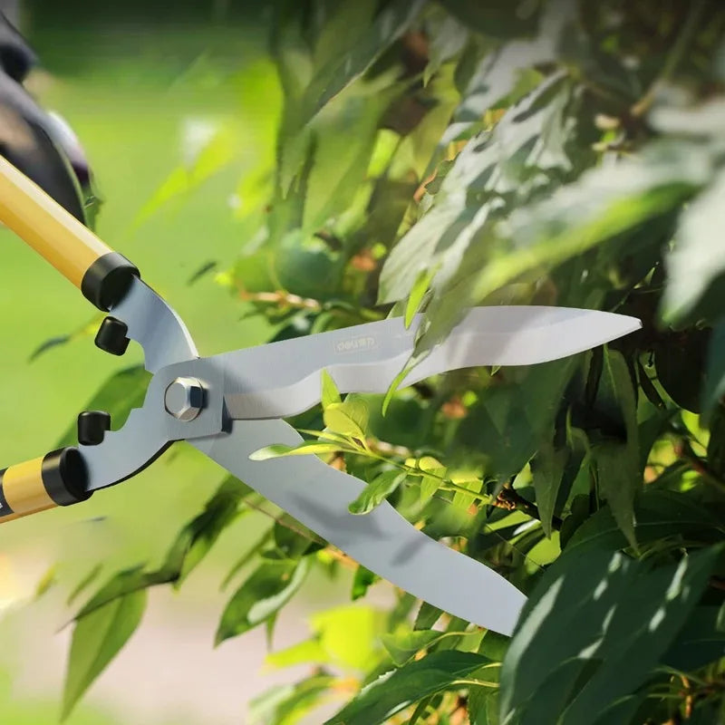 Deli™ Garden Tools – Precision Flower & Branch Pruner Shopulia