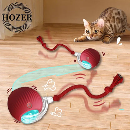 2Pcs Cat Interactive Ball Toys Automatic Rolling Ball Faux Tail Rechargeable Smart Pet Electric Toy Cat Training Imitate Mouse Shopulia