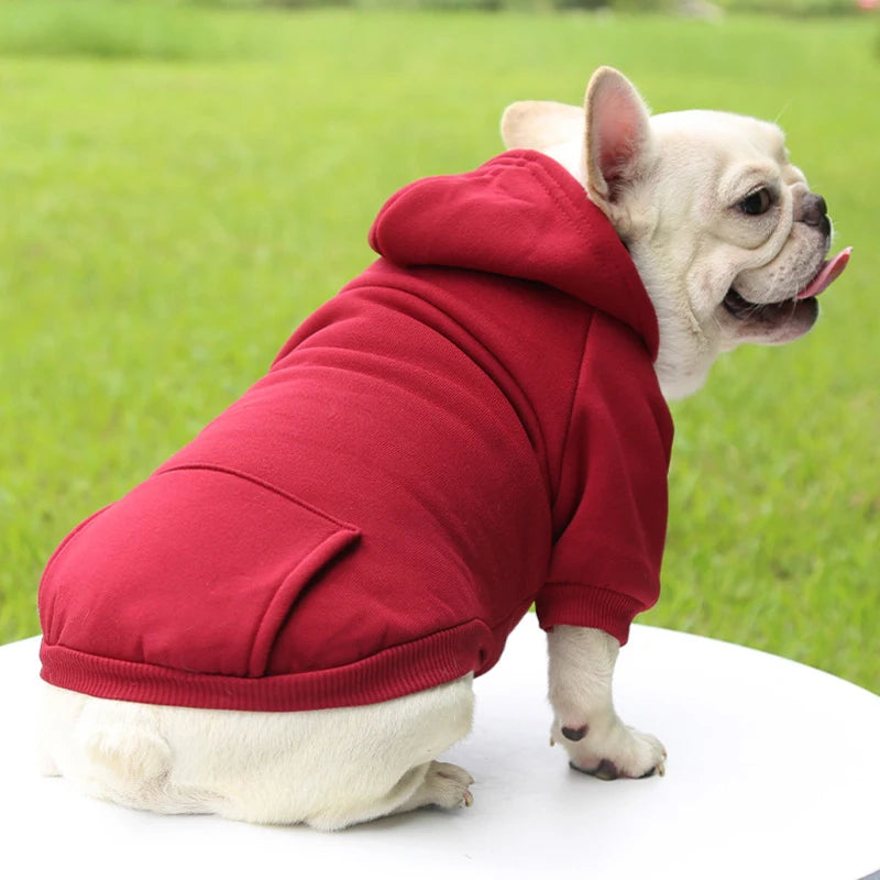 PawCozy™ Small Dog Winter Hoodie Shopulia