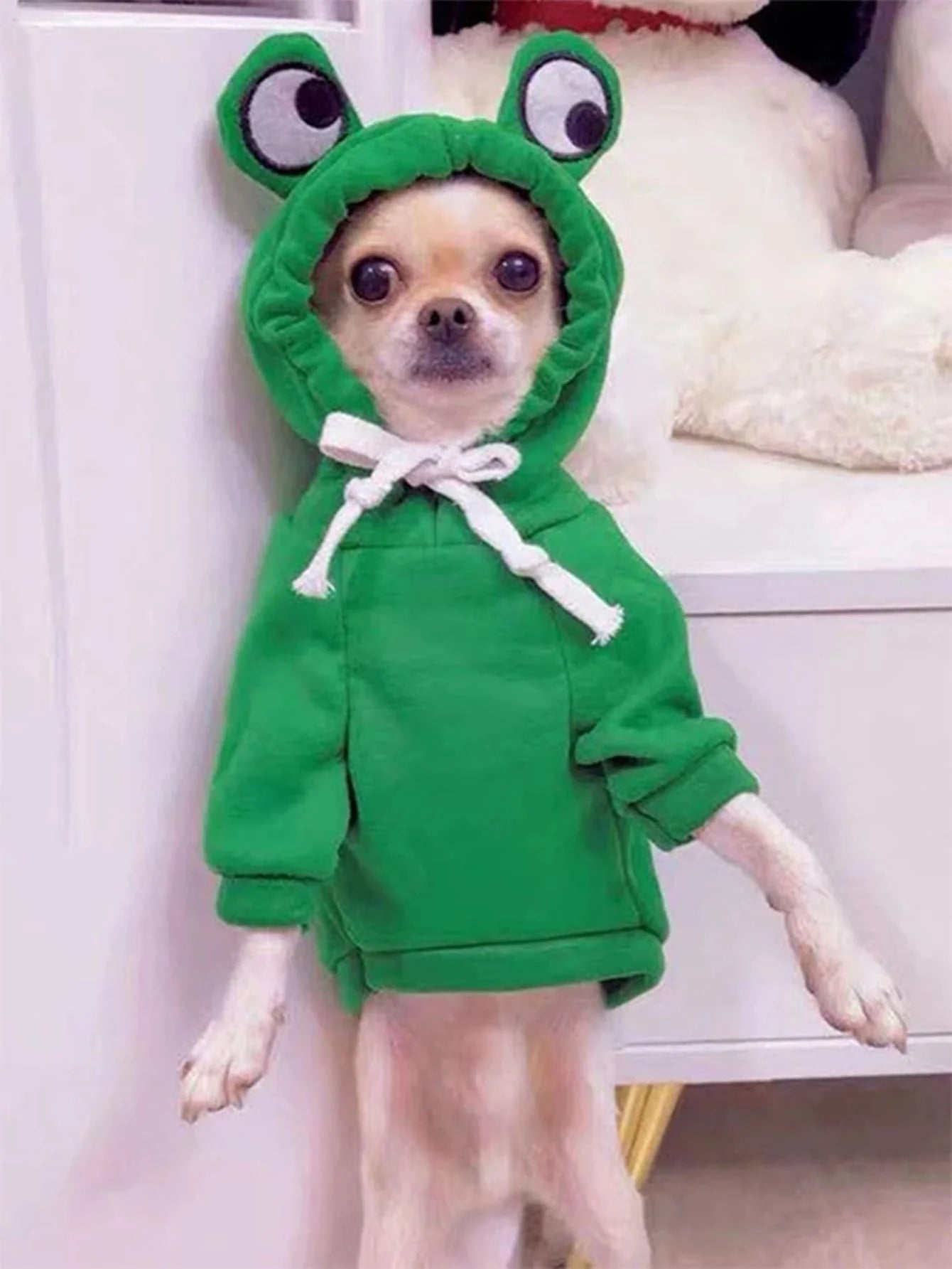 GreenFrog™ Dog Hoodie – Cute Sweater for Small & Medium Dogs Shopulia