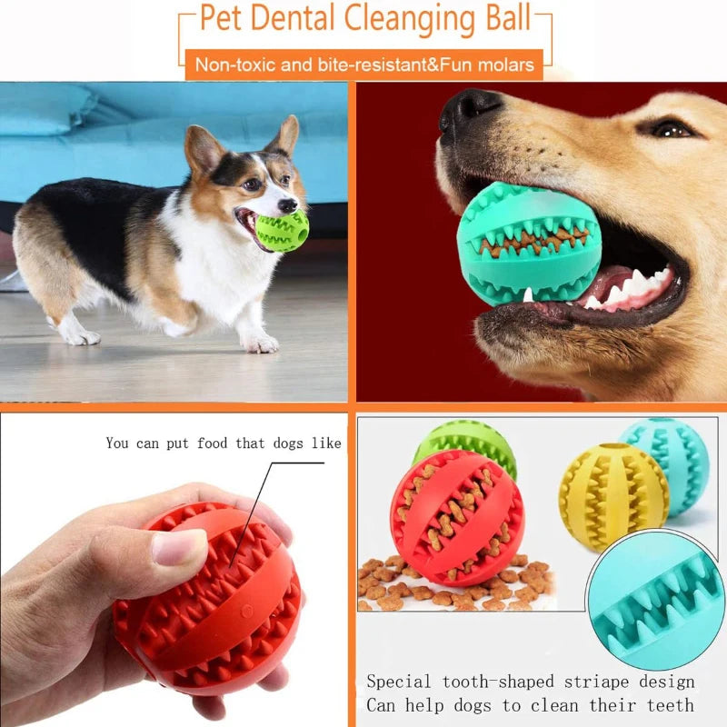 ChewBuddy™ Pet Toy & Treat Ball Shopulia