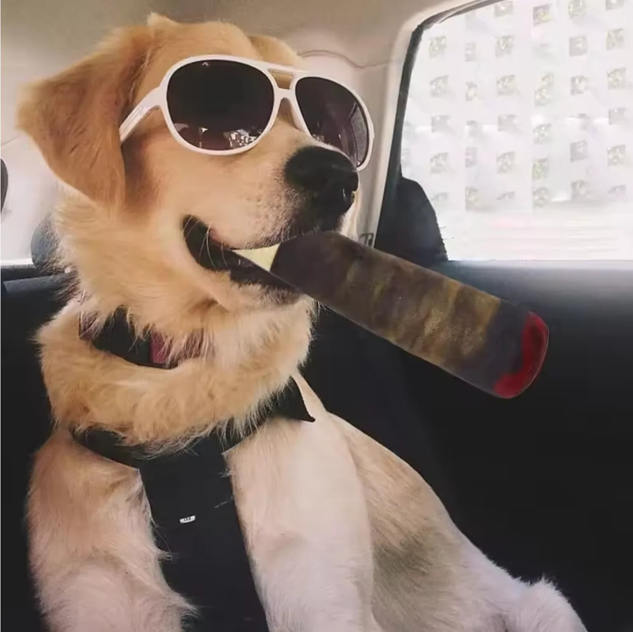 PupCigar™ Squeaky Dog Toy Shopulia