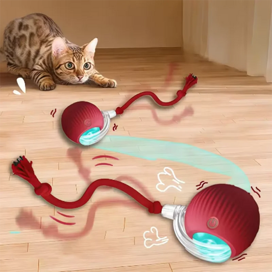 PawSmart™ Interactive Cat & Dog Ball Shopulia