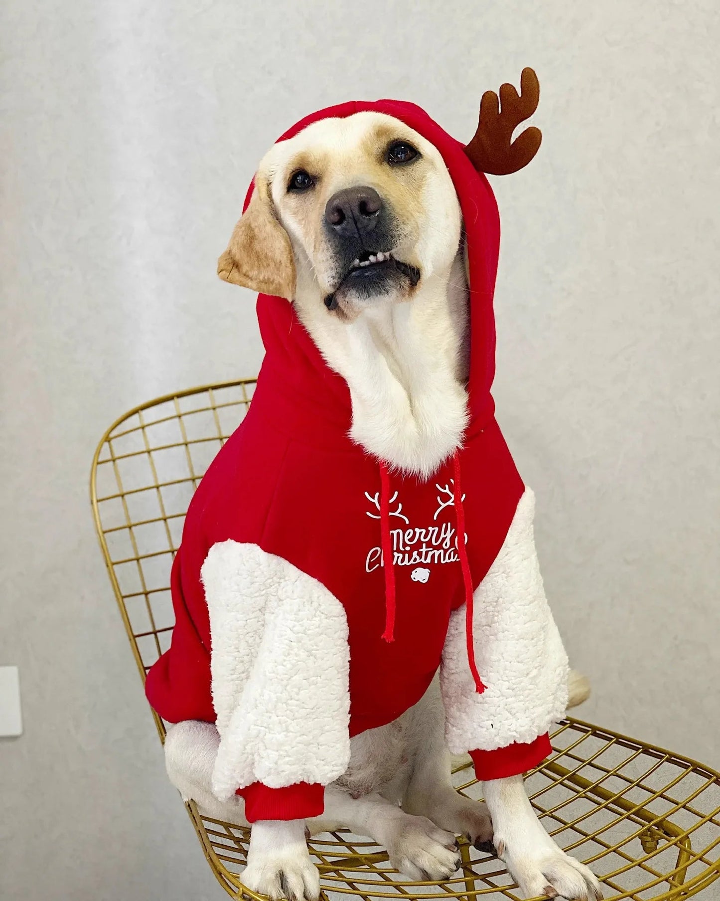 Pet Dog Clothes Winter Warm Cotton Fleece Christmas Fawn Sweatshirt Large Dog Golden Retriever Labrador Shopulia