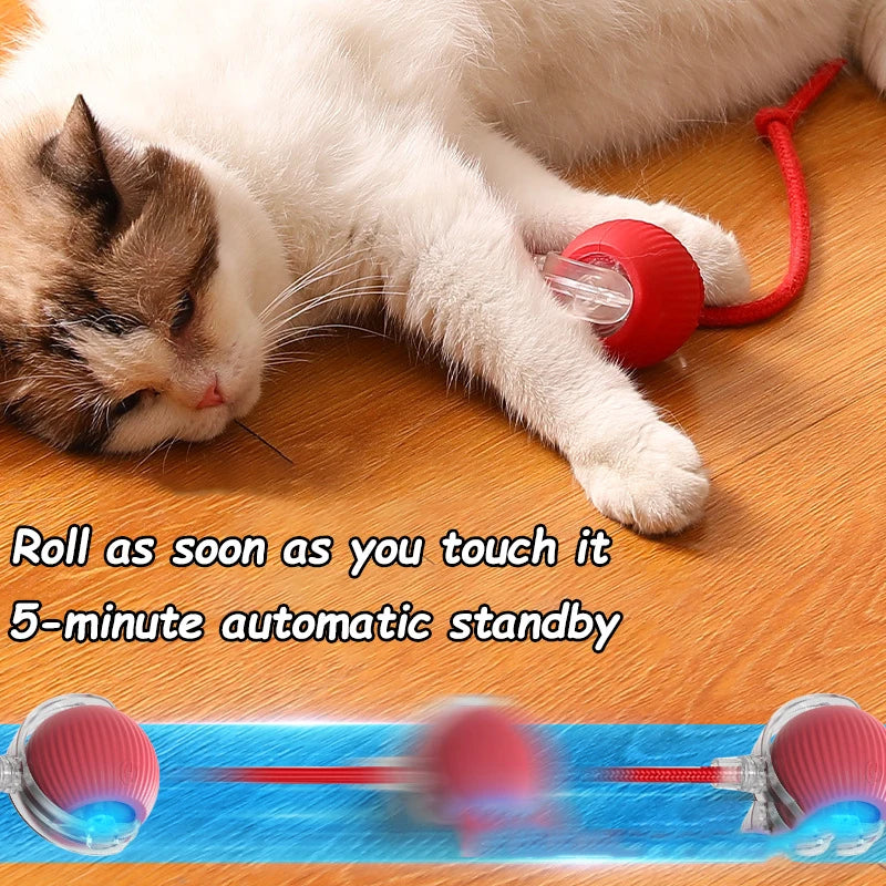 2Pcs Cat Interactive Ball Toys Automatic Rolling Ball Faux Tail Rechargeable Smart Pet Electric Toy Cat Training Imitate Mouse Shopulia