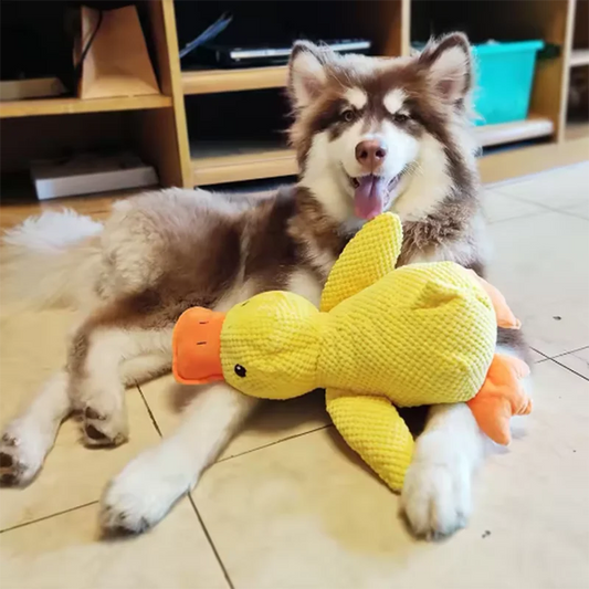 PawPlay™ Stomping Duck Dog Toy Shopulia