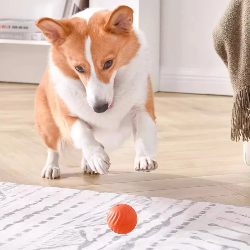 PawSpin™ Smart Dog Toy Ball Shopulia