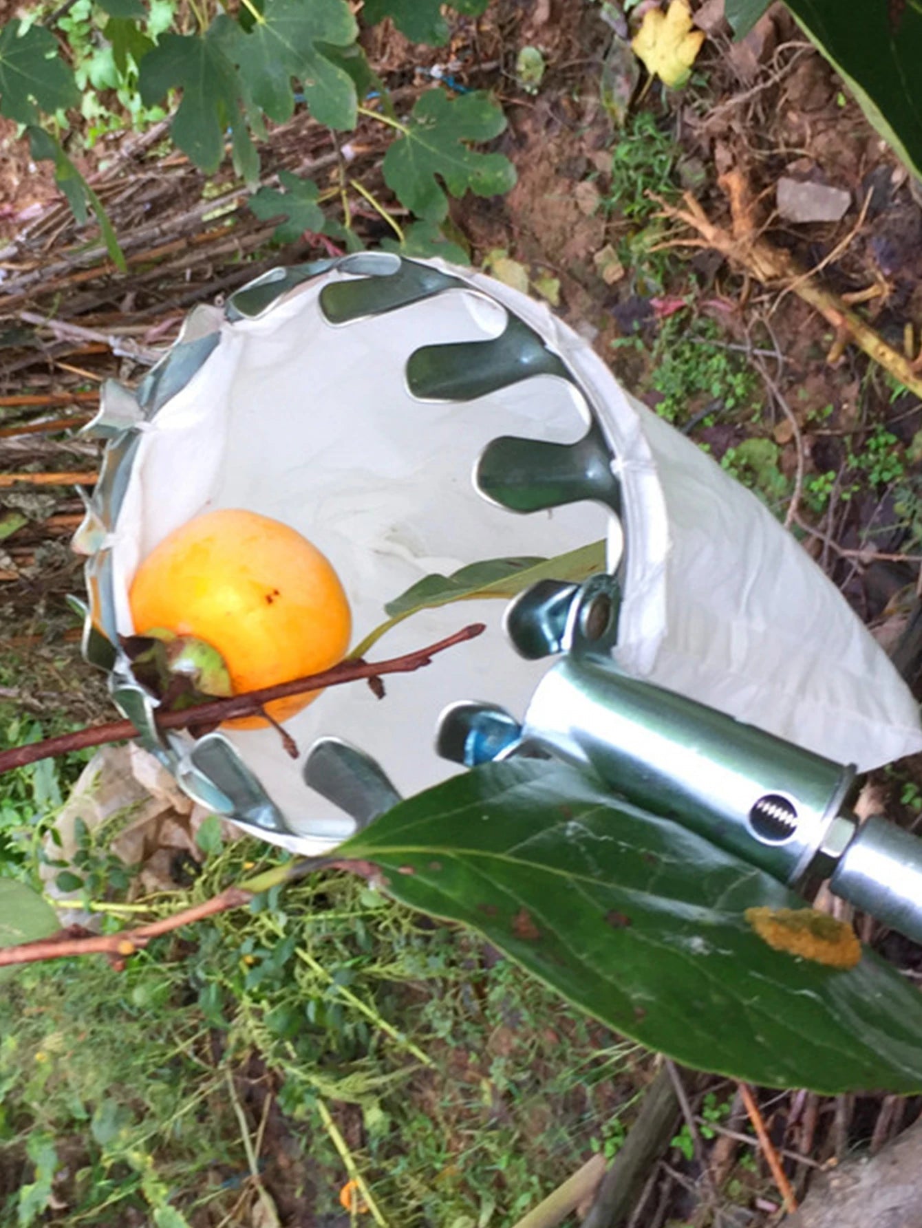 “FruitCatch™ Garden Fruit Picker Tool” Shopulia