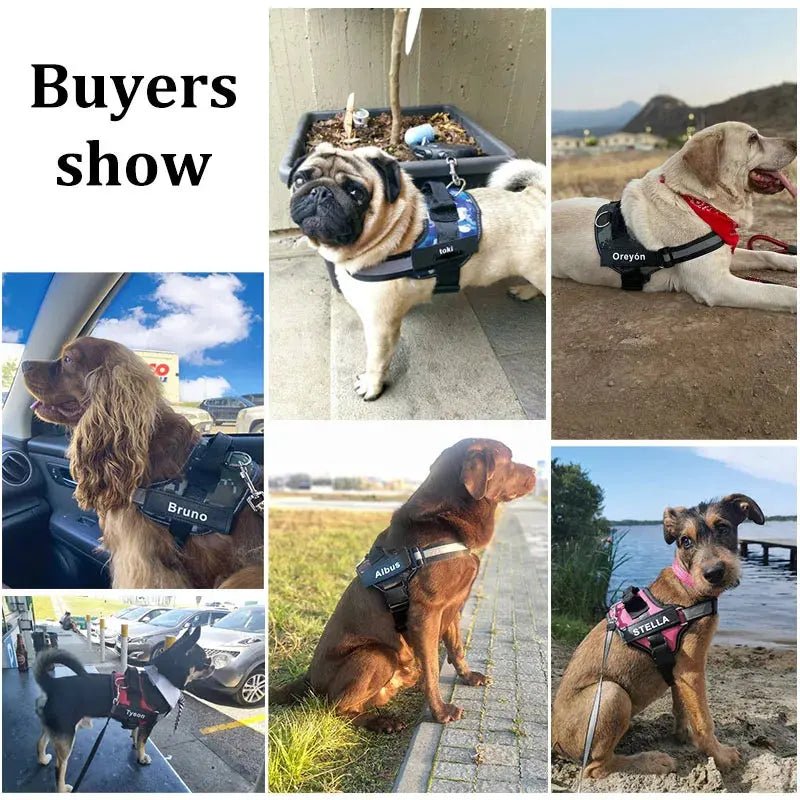 Personalized Dog Harness | Shopulia