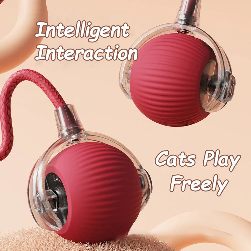 2Pcs Cat Interactive Ball Toys Automatic Rolling Ball Faux Tail Rechargeable Smart Pet Electric Toy Cat Training Imitate Mouse Shopulia