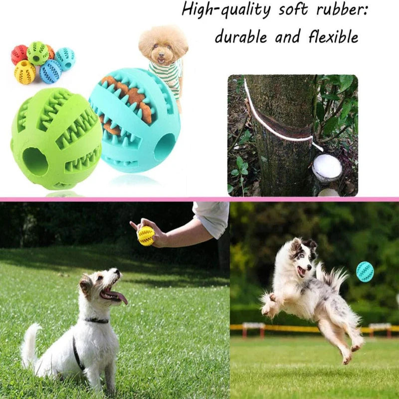 ChewBuddy™ Pet Toy & Treat Ball Shopulia