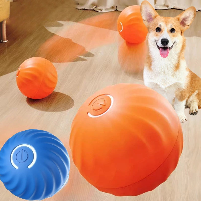 PawSpin™ Smart Dog Toy Ball Shopulia