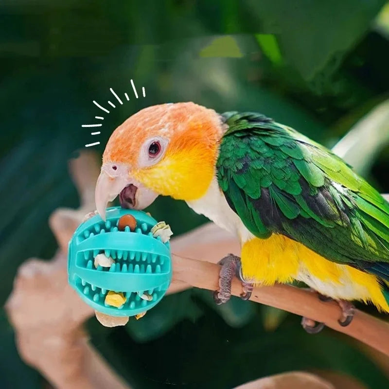 BiteBoost™ Anti-Boredom Dog Toy Shopulia