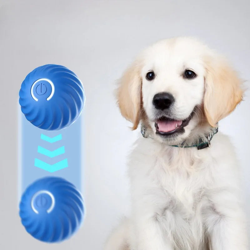 PawSpin™ Smart Dog Toy Ball Shopulia