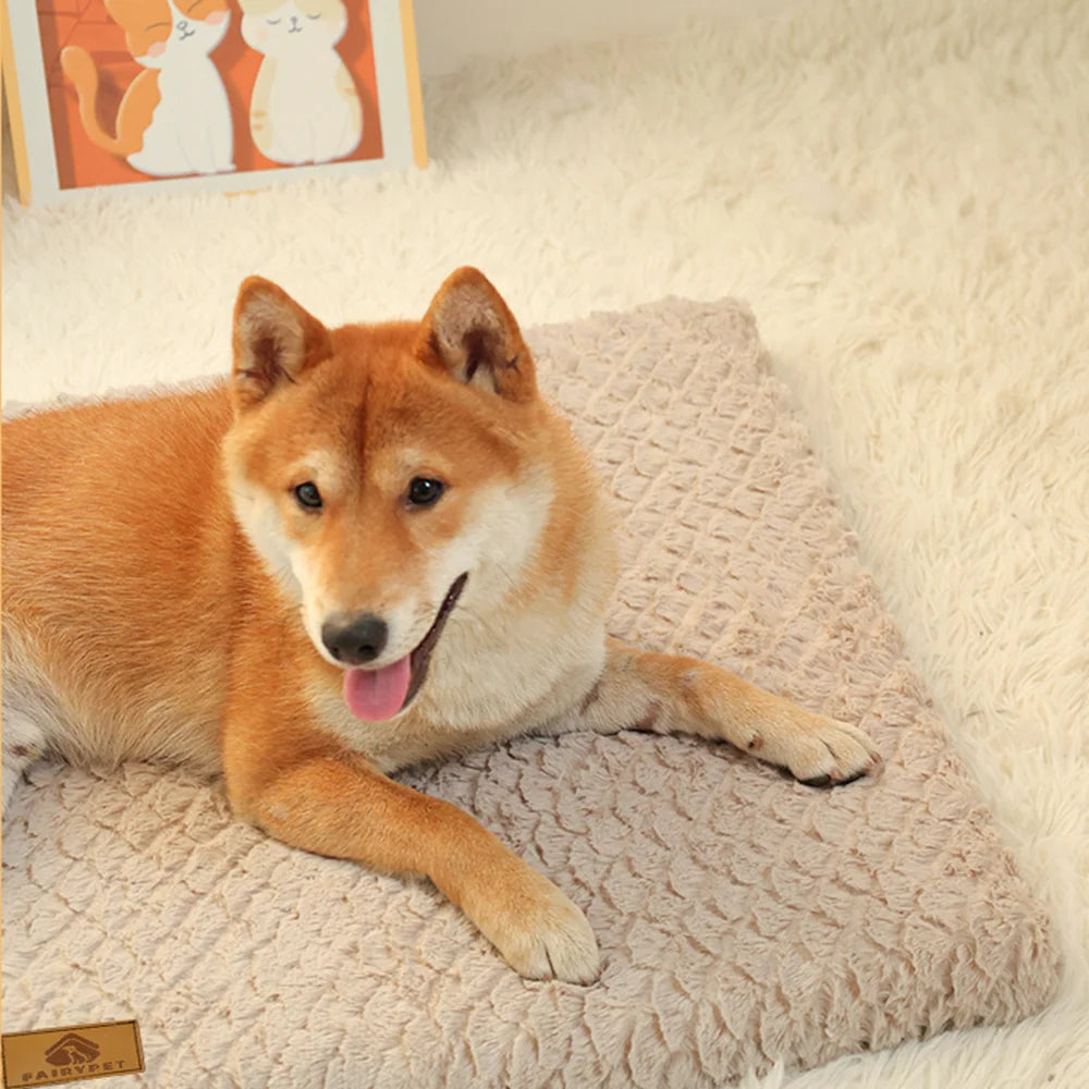FurHaven™ Foam Dog Bed – Anti-Slip & Removable Cover Shopulia