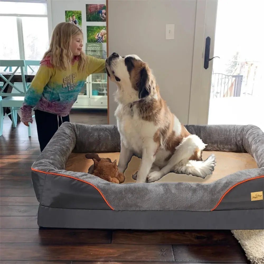 Jumbo Large Orthopedic Dog Bed Shopulia