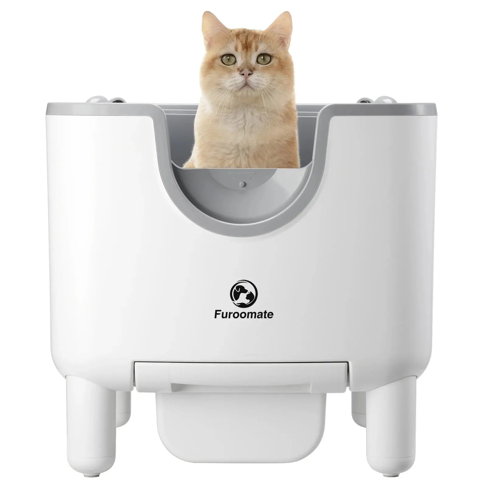 Self-Cleaning Litter Box | Shopulia