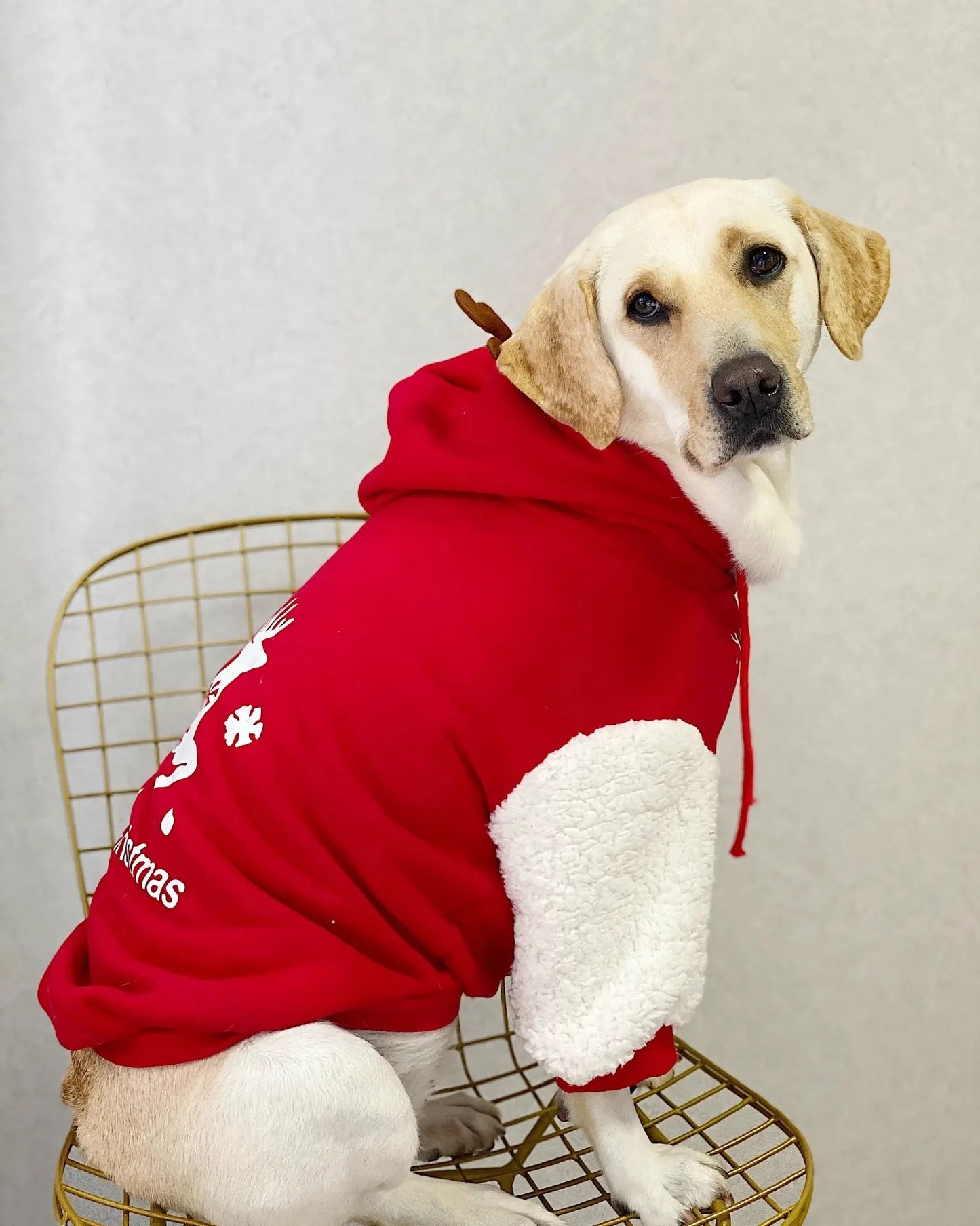 Pet Dog Clothes Winter Warm Cotton Fleece Christmas Fawn Sweatshirt Large Dog Golden Retriever Labrador Shopulia