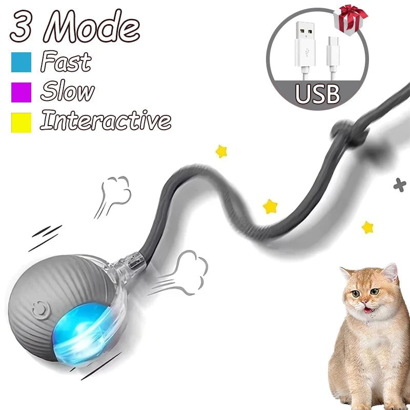2Pcs Cat Interactive Ball Toys Automatic Rolling Ball Faux Tail Rechargeable Smart Pet Electric Toy Cat Training Imitate Mouse Shopulia