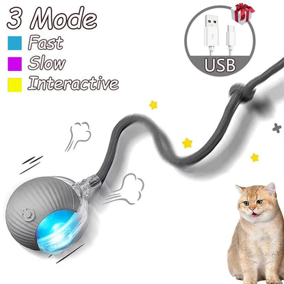 2Pcs Cat Interactive Ball Toys Automatic Rolling Ball Faux Tail Rechargeable Smart Pet Electric Toy Cat Training Imitate Mouse Shopulia
