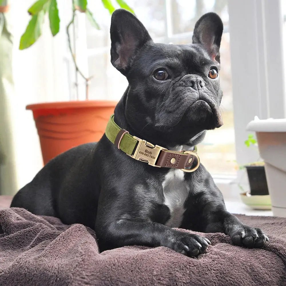 PawPrint™ Custom PU Leather Dog Collar | Shopulia