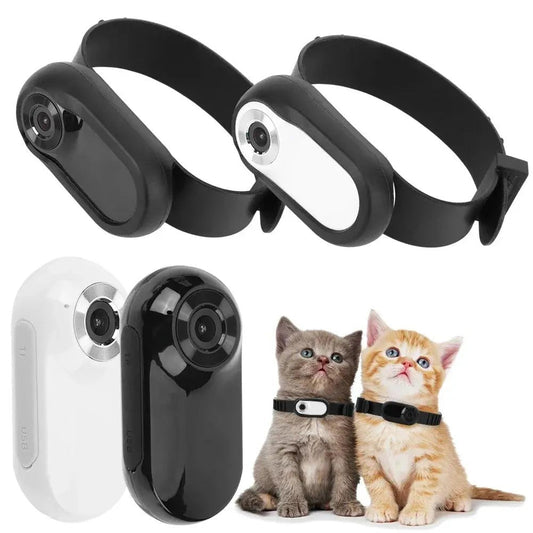HD 1080P Pet Tracker Collar No WiFi Needed Shopulia
