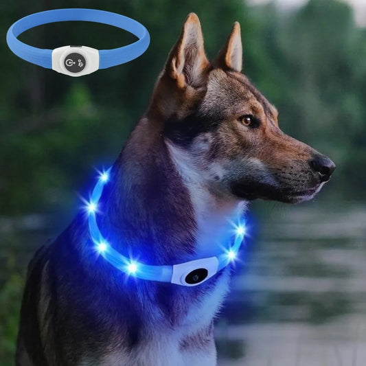 GlowPup™ LED Dog Collar Shopulia