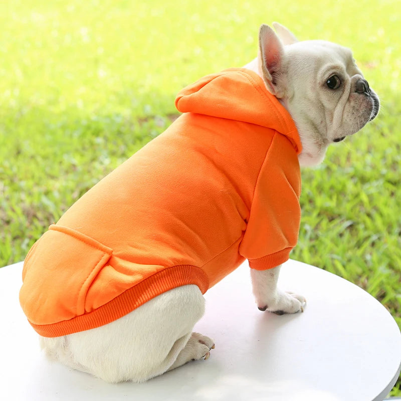 PawCozy™ Small Dog Winter Hoodie Shopulia